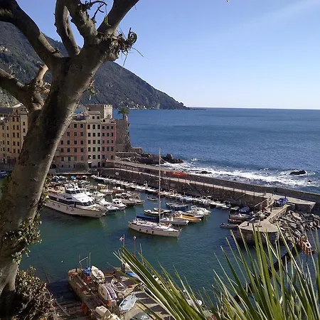 Al Piccolo Scoglio - Room&breakfast * Camogli