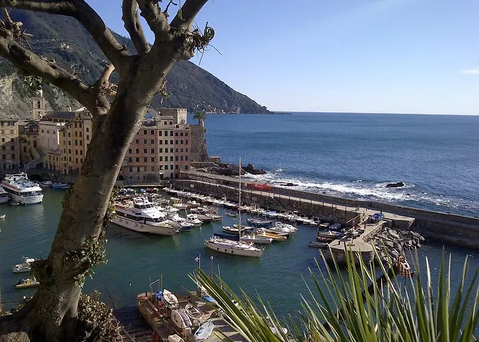 Al Piccolo Scoglio - & Breakfast 4* 卡莫利